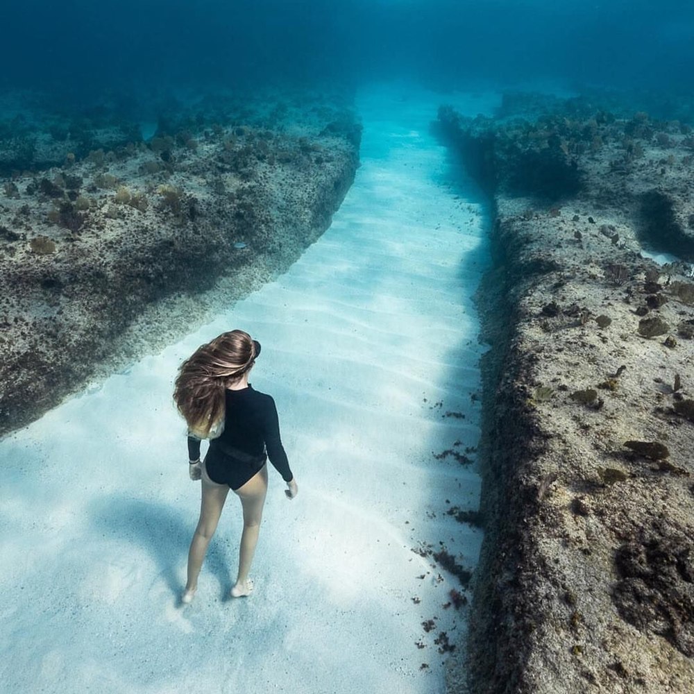 Meet your Posher, Jul